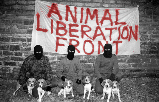 Animal Liberation Front (ALF): Heroes or Criminals?